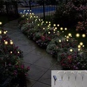 LUMIERE DE LUCIOLE - FIREFLY LIGHTS 32 LED