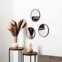 miroir toronto imitation bois d26cm x3