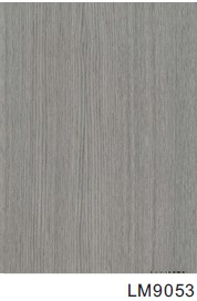 PANNEAUX EXTERIEUR LATTES GRIS 220*26*H2900mm