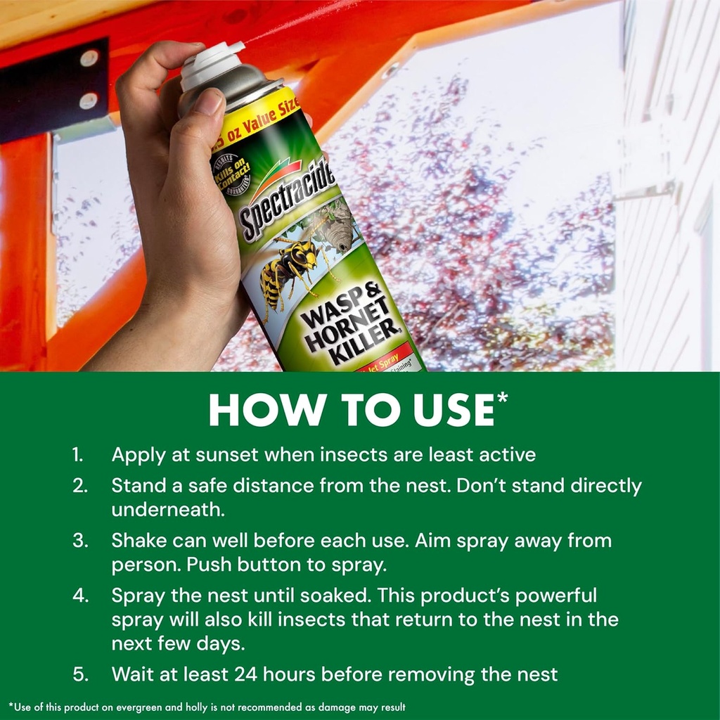 Spray Anti Guêpes