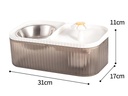 Fontaine à eau automatique pour chats et chiens