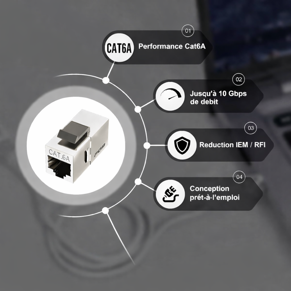 Coupleur Keystone Ethernet Cat 6A blindé (1pcs) 