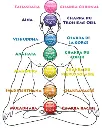 Bracelet Guérison des 7 Chakras Pierres de Lave