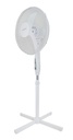 VENTILATEUR VENT FORTE ESPERANZA