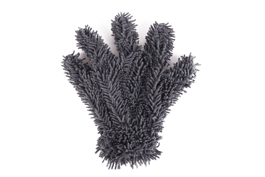 Car wash glove
