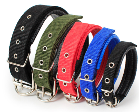 COLLIER CHIEN COULEUR ASSORTIR 4.0*70cm   