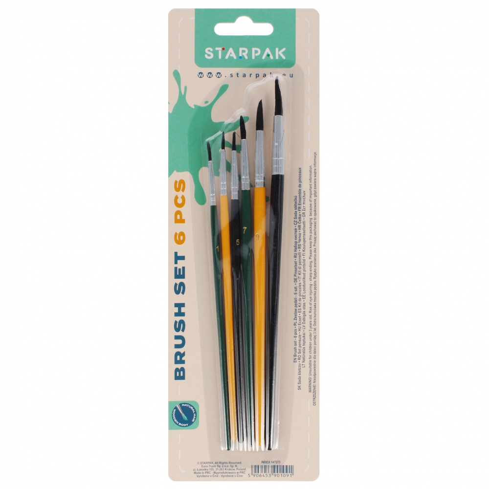 School brushes Starpak 6pcs