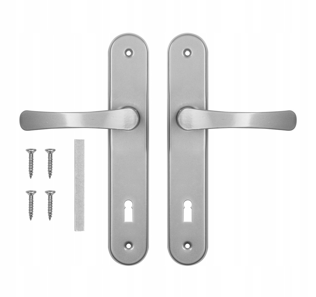 Door handle for doors 72 silver biscuit key