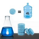 [ZEN3218] GLASS CLEANER 6 Pastilles pour 24 Litres de Lave-Glaces