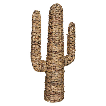 Cactus jacinthe Haci H75, beige