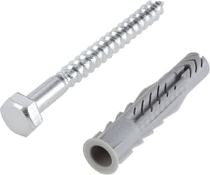 Screw/Dowel for fixing road speed bumps