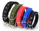 COLLIER CHIEN COULEUR ASSORTIR 3.0*50cm  