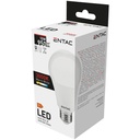 Ampoule LED Entac 10 W E27 3000 K