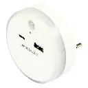 USB-A & USB-C socket with day/night + PIR sensor