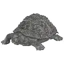 Francky decorative resin turtle H21.5 cm