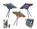 Wing Glider en display