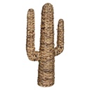 Cactus jacinthe Haci H75, beige