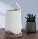 Lantern Coola Solaire DTL-01S : 300ML 2700K-6500K RGB