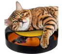 Catch the Mouse plastic cat plush